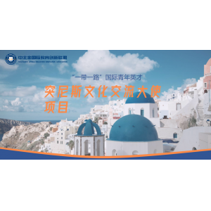 2026“一带一路”国际青年英才之魅力北非“中国-突尼斯”文化交流大使项目