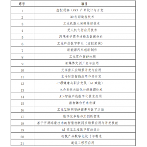 2025一带一路暨金砖国家技能发展与技术创新大赛—北非国际赛现公开征集专家评委